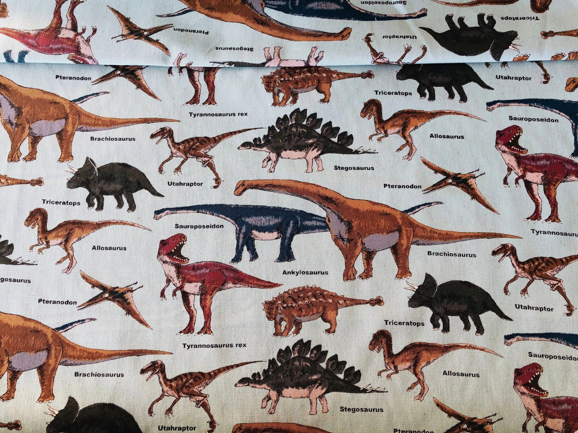 Dinosaur Fabric-Dino-Dinosaur-Japanese fabric-Cotton Twill