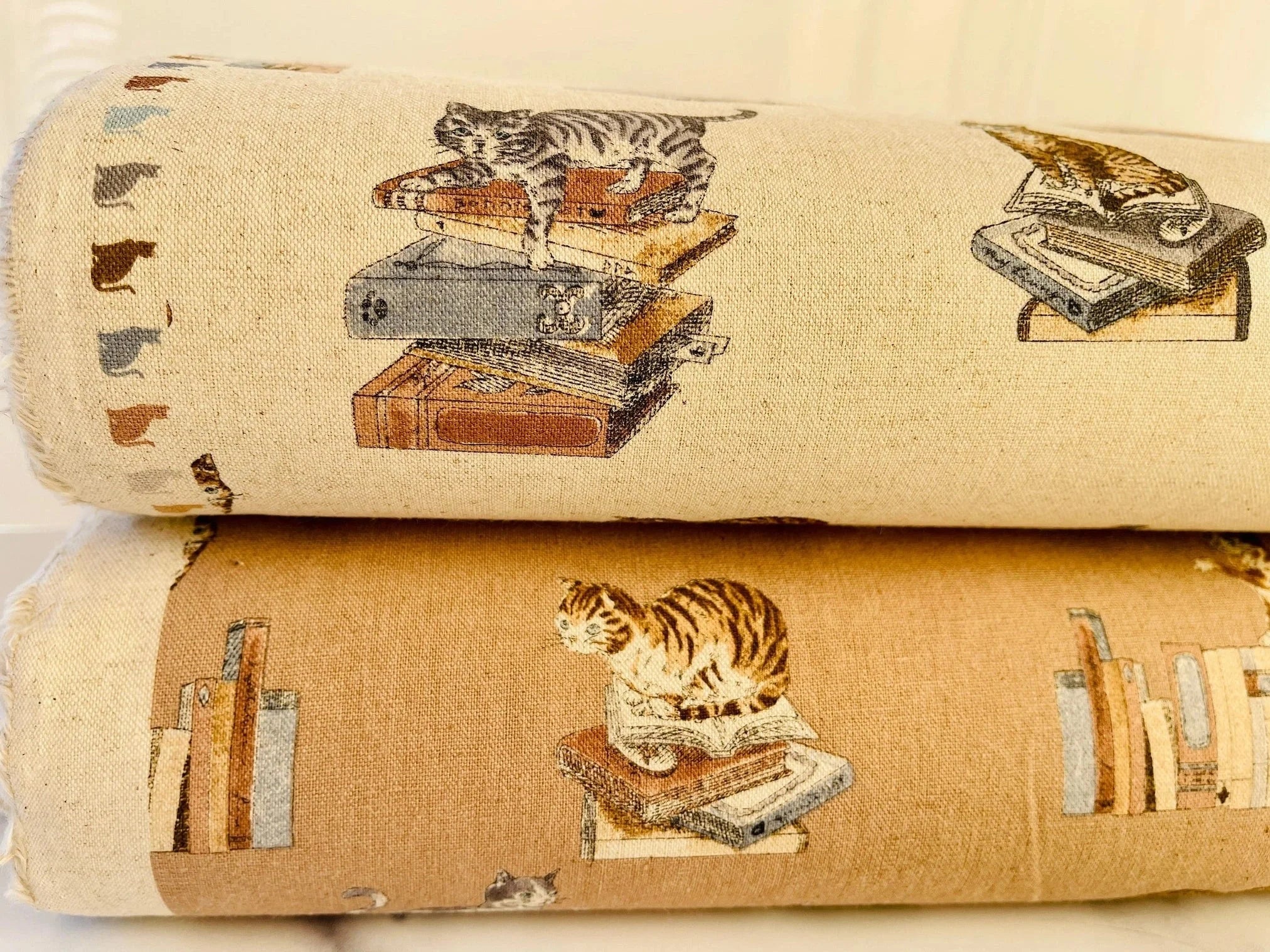 Cat - Cat Fabric - Cats and Books - Japanese Canvas Fabric