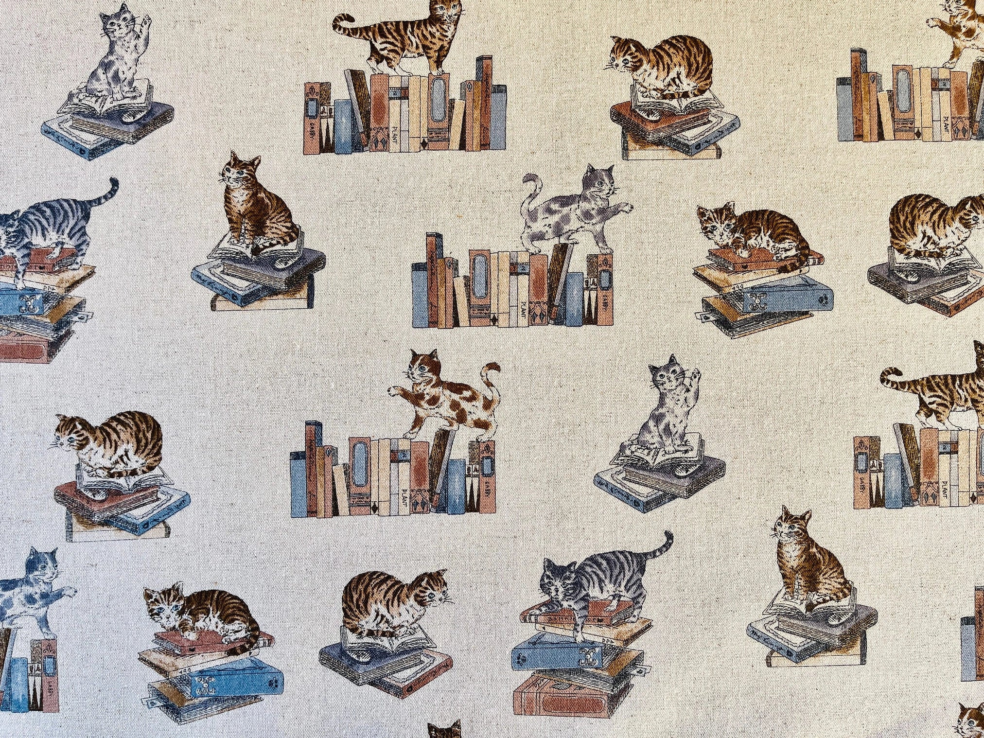 Cat - Cat Fabric - Cats and Books - Japanese Canvas Fabric