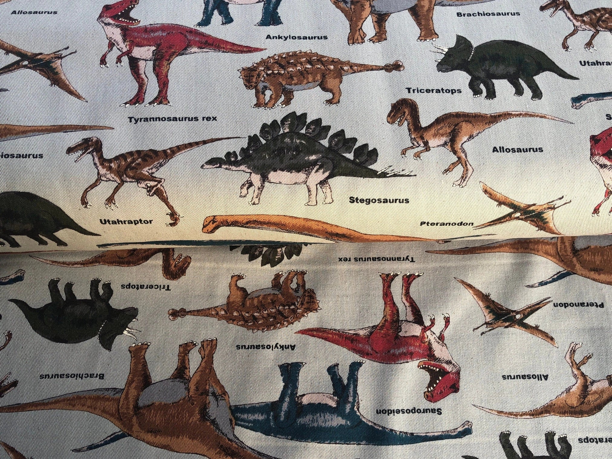 Dinosaur Fabric-Dino-Dinosaur-Japanese fabric-Cotton Twill