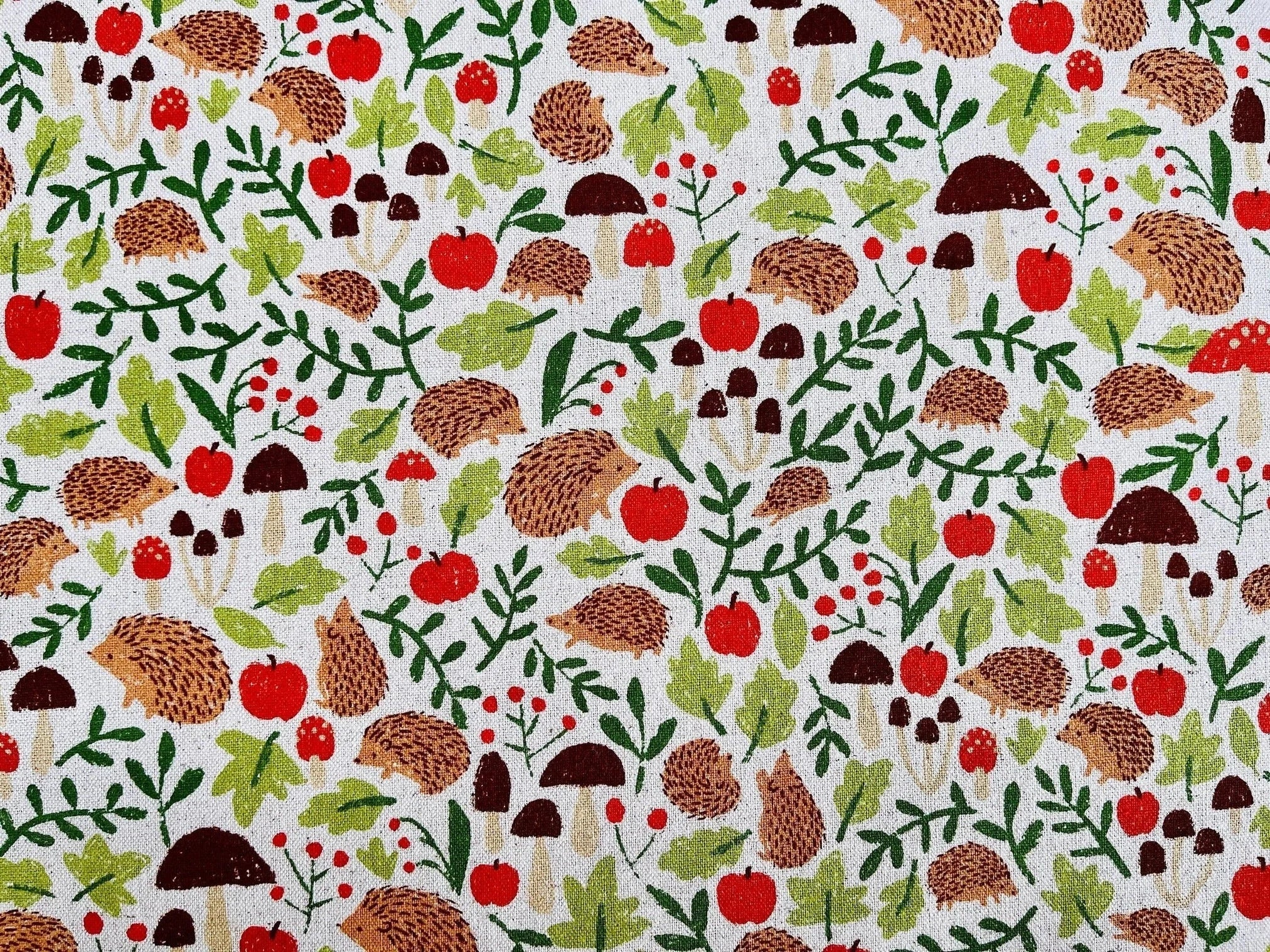 Porcupine - Hedgehog Fabric - Robert Kaufman Canvas - Sevenberry - C5620148