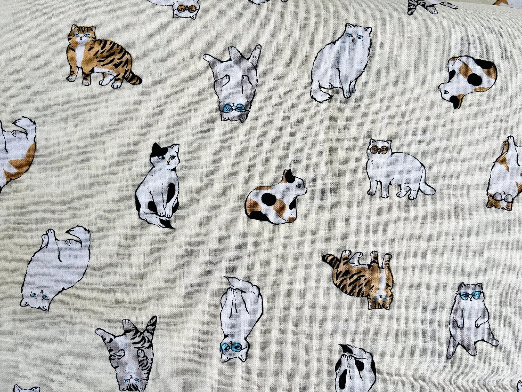 Cat - Cat Fabric - Robert Kaufman - Japanese quilting cotton.
