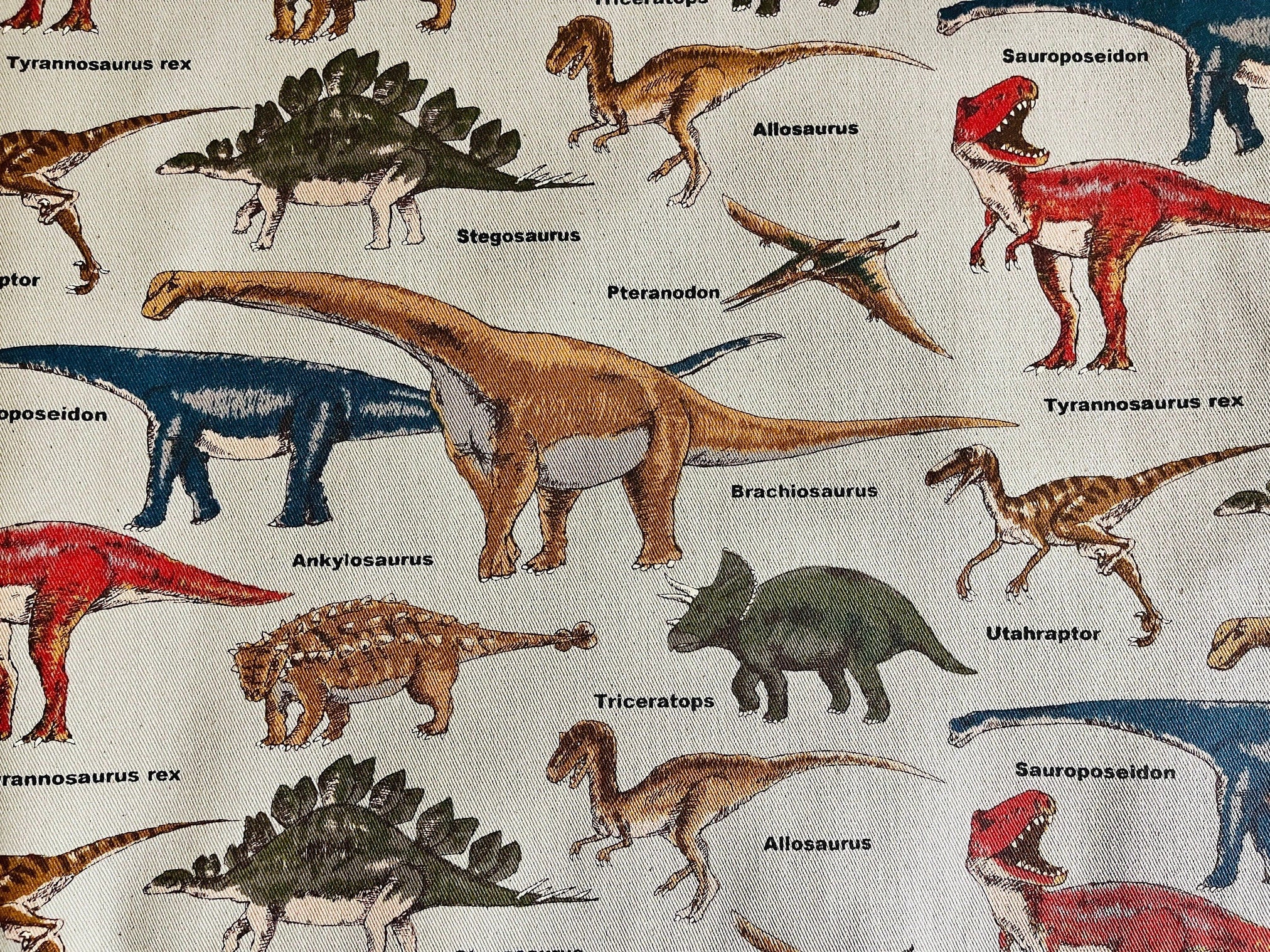 Dinosaur Fabric-Dino-Dinosaur-Japanese fabric-Cotton Twill