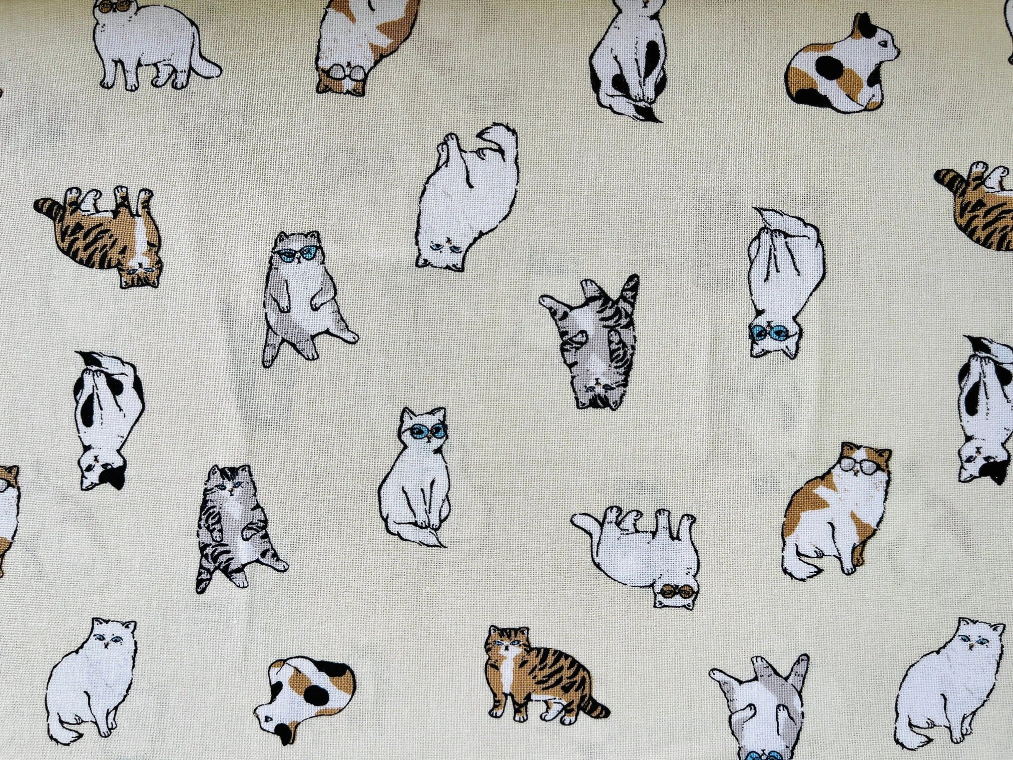 Cat - Cat Fabric - Robert Kaufman - Japanese quilting cotton.